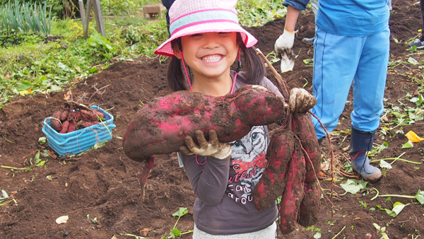 f:id:furusato-iiyama:20171013111321p:plain