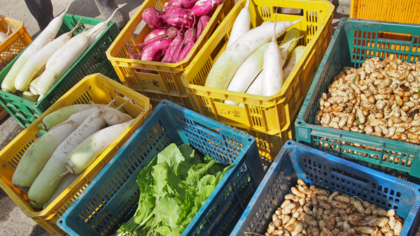 f:id:furusato-iiyama:20171013111956p:plain