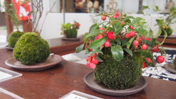 f:id:furusato-iiyama:20171018092439p:plain