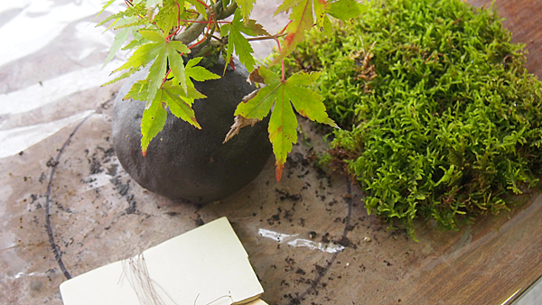 f:id:furusato-iiyama:20171018092704p:plain