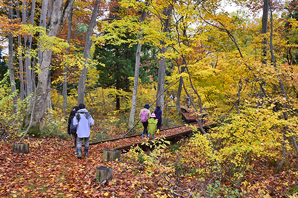 f:id:furusato-iiyama:20171110105336p:plain