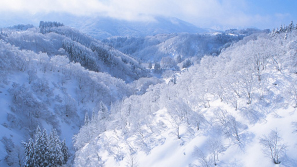 f:id:furusato-iiyama:20171205093528p:plain