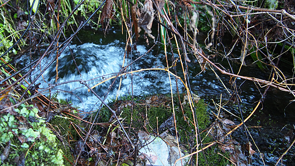 f:id:furusato-iiyama:20171205094307p:plain