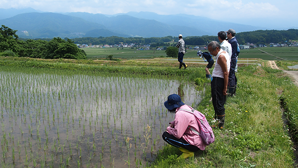 f:id:furusato-iiyama:20180619134128p:plain f:id:furusato-iiyama:20180619134128p:plain