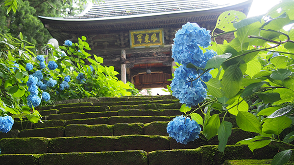 f:id:furusato-iiyama:20180718162521p:plain