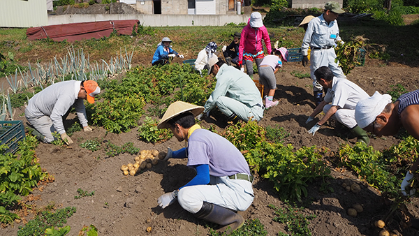 f:id:furusato-iiyama:20180809133644p:plain