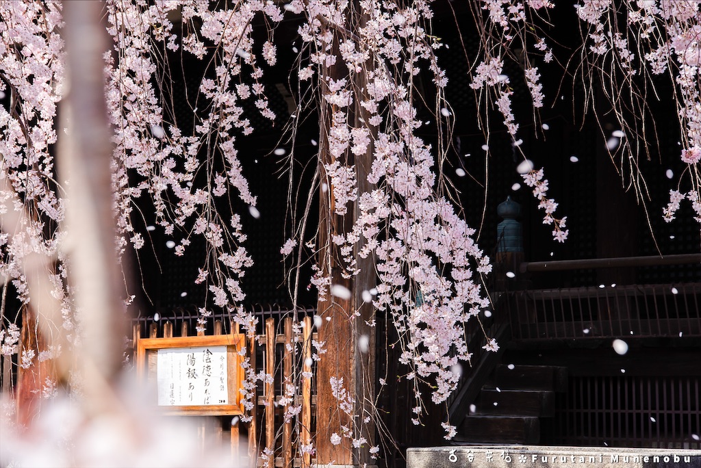f:id:furutanimunenobu:20200902230105j:image