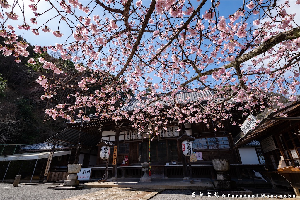 f:id:furutanimunenobu:20200902230208j:image