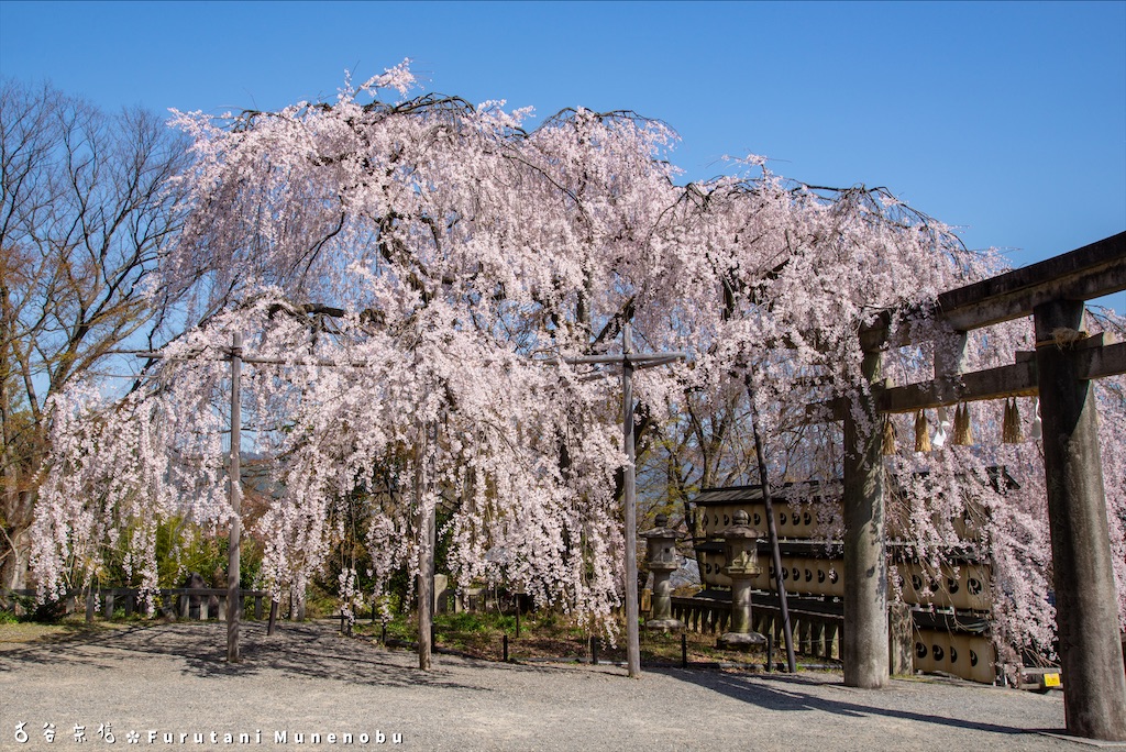 f:id:furutanimunenobu:20200902230736j:image