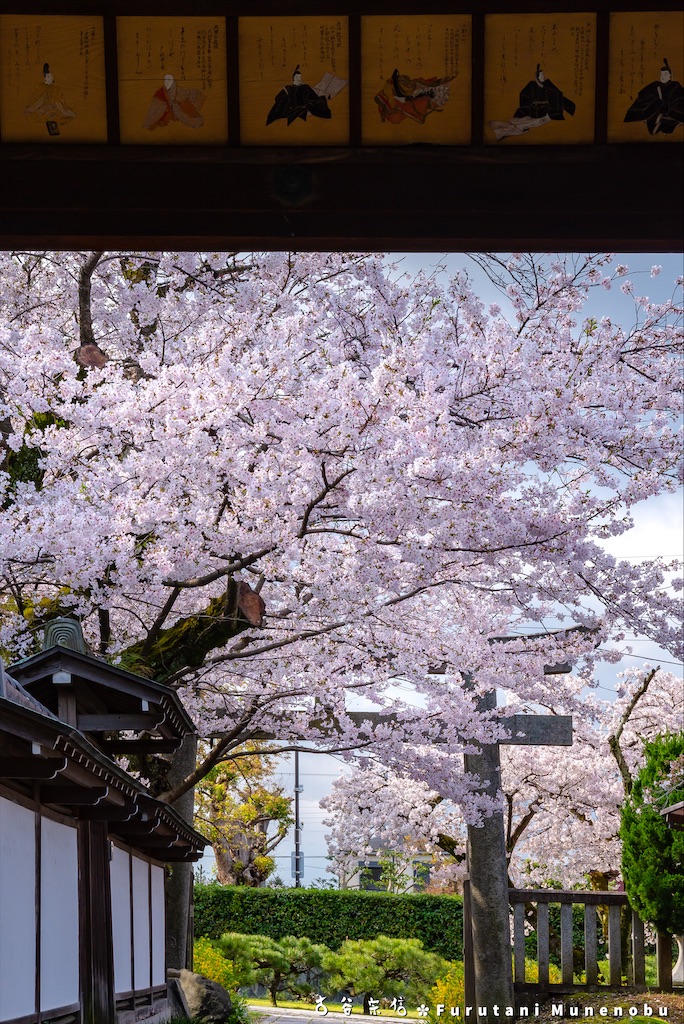 f:id:furutanimunenobu:20200902230833j:image