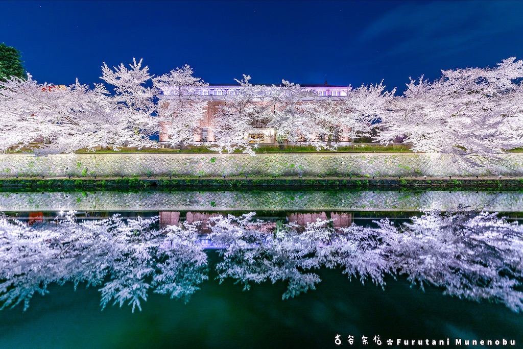 f:id:furutanimunenobu:20200902231015j:image