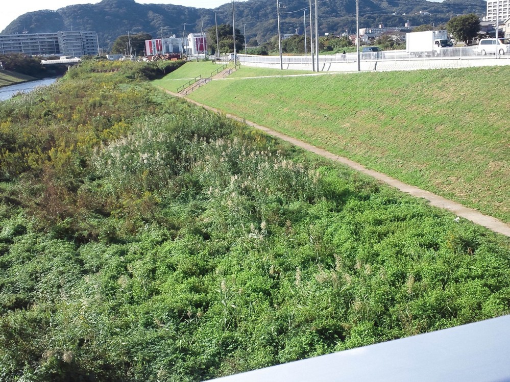 f:id:furuyatoshihiro:20121105105934j:image