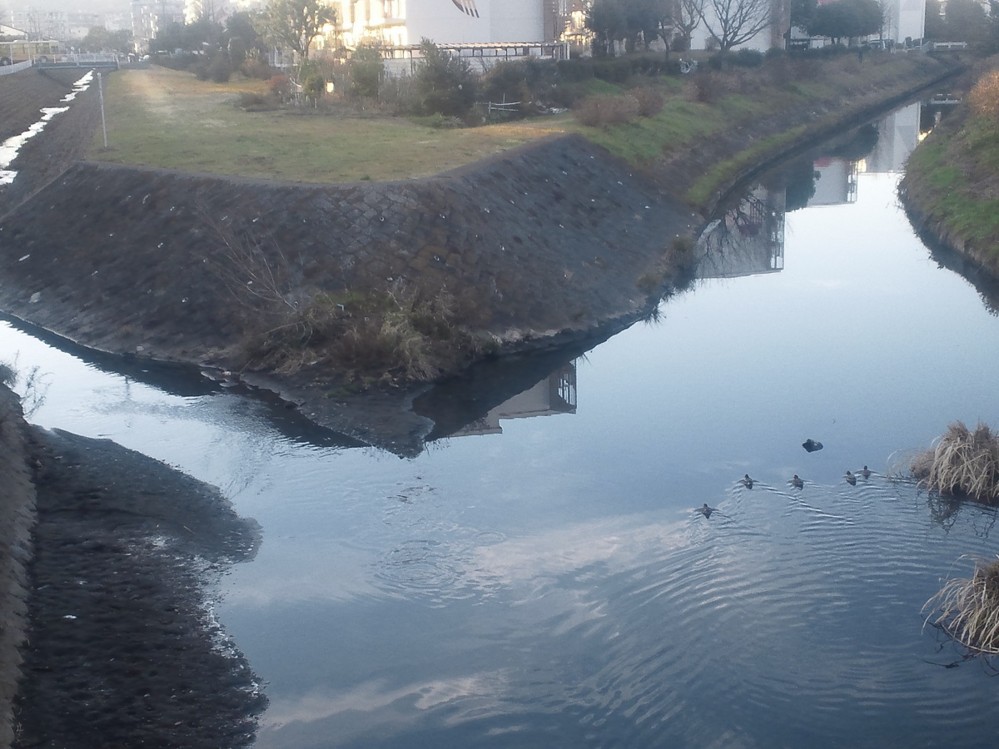 f:id:furuyatoshihiro:20140102113833j:image