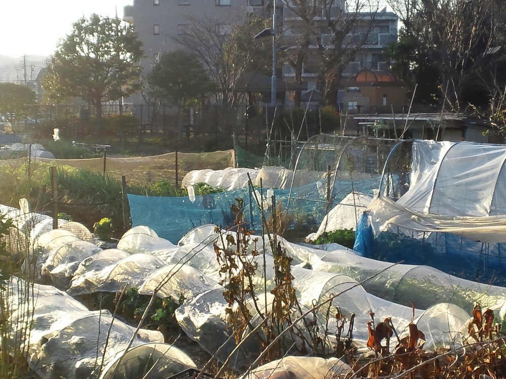 f:id:furuyatoshihiro:20140102113836j:image