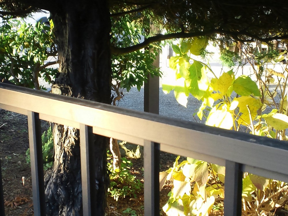 f:id:furuyatoshihiro:20140102114055j:image