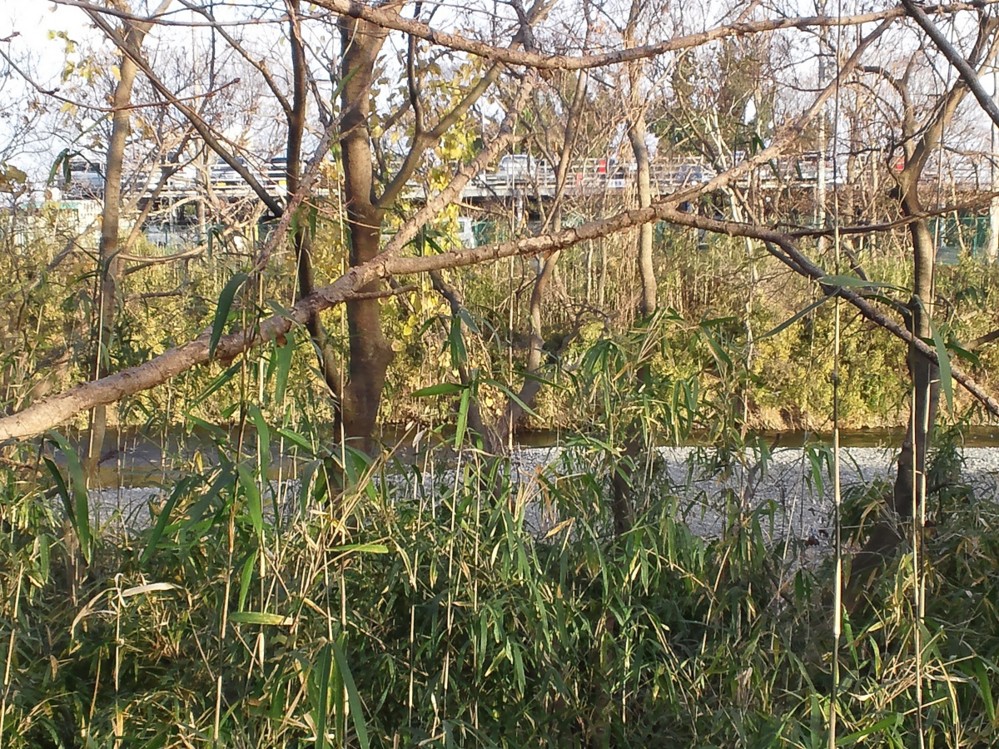 f:id:furuyatoshihiro:20140102114103j:image