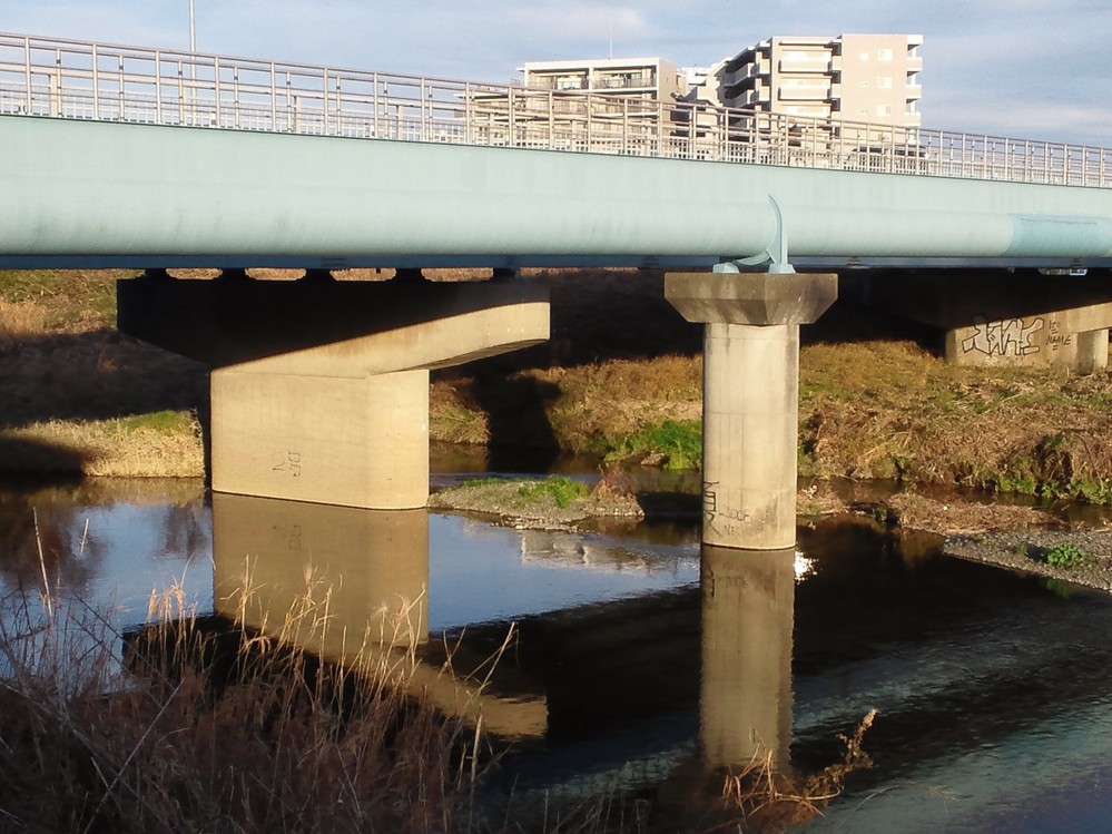 f:id:furuyatoshihiro:20140102114205j:image