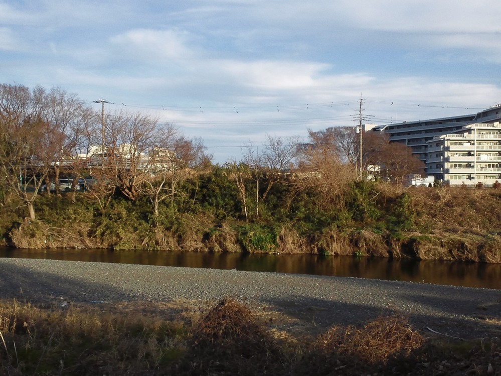 f:id:furuyatoshihiro:20140102170643j:image