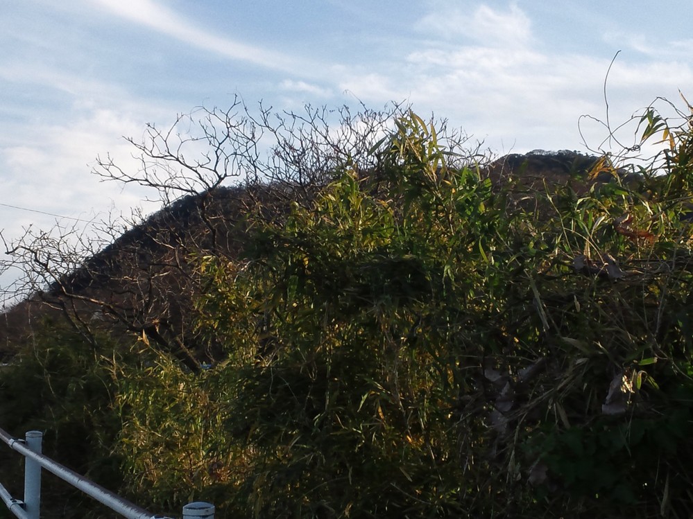 f:id:furuyatoshihiro:20140103214635j:image