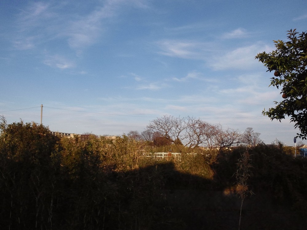 20140103214654