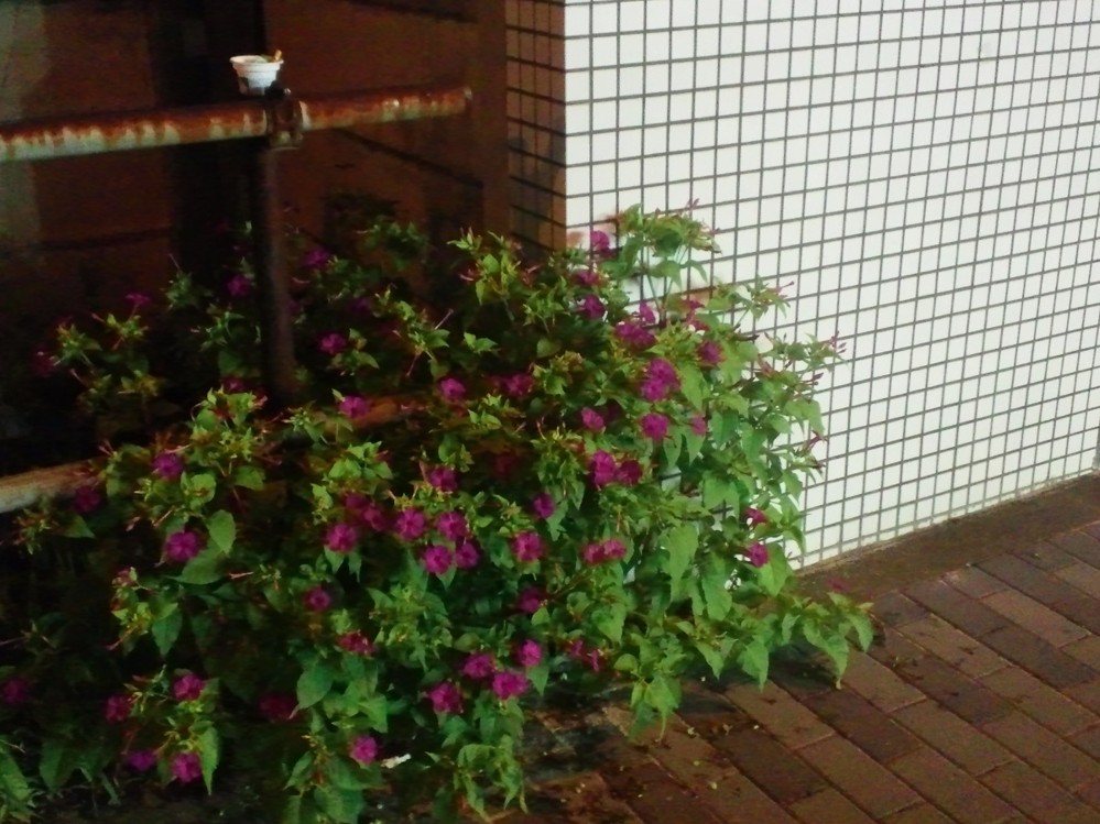 f:id:furuyatoshihiro:20150906021900j:image