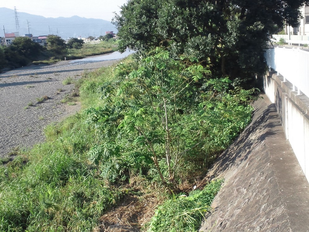 f:id:furuyatoshihiro:20151004012131j:image