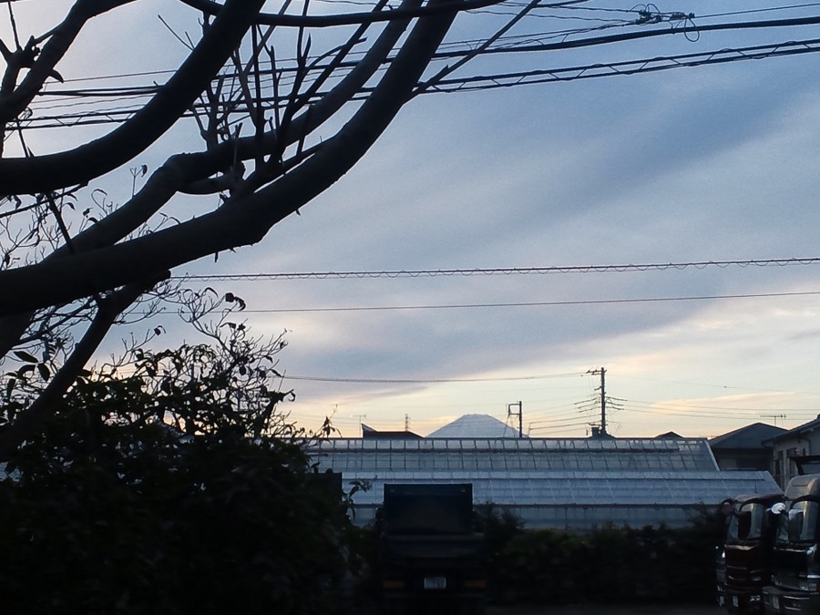 f:id:furuyatoshihiro:20160104155147j:image