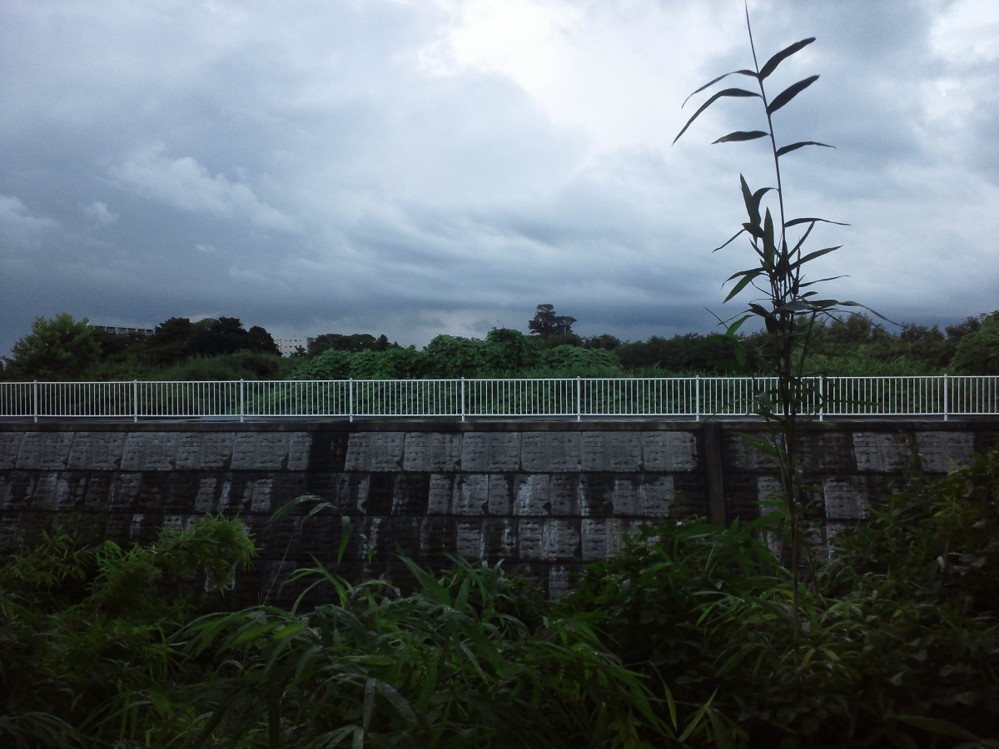 f:id:furuyatoshihiro:20160903225014j:image