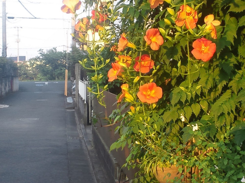f:id:furuyatoshihiro:20180628012318j:image