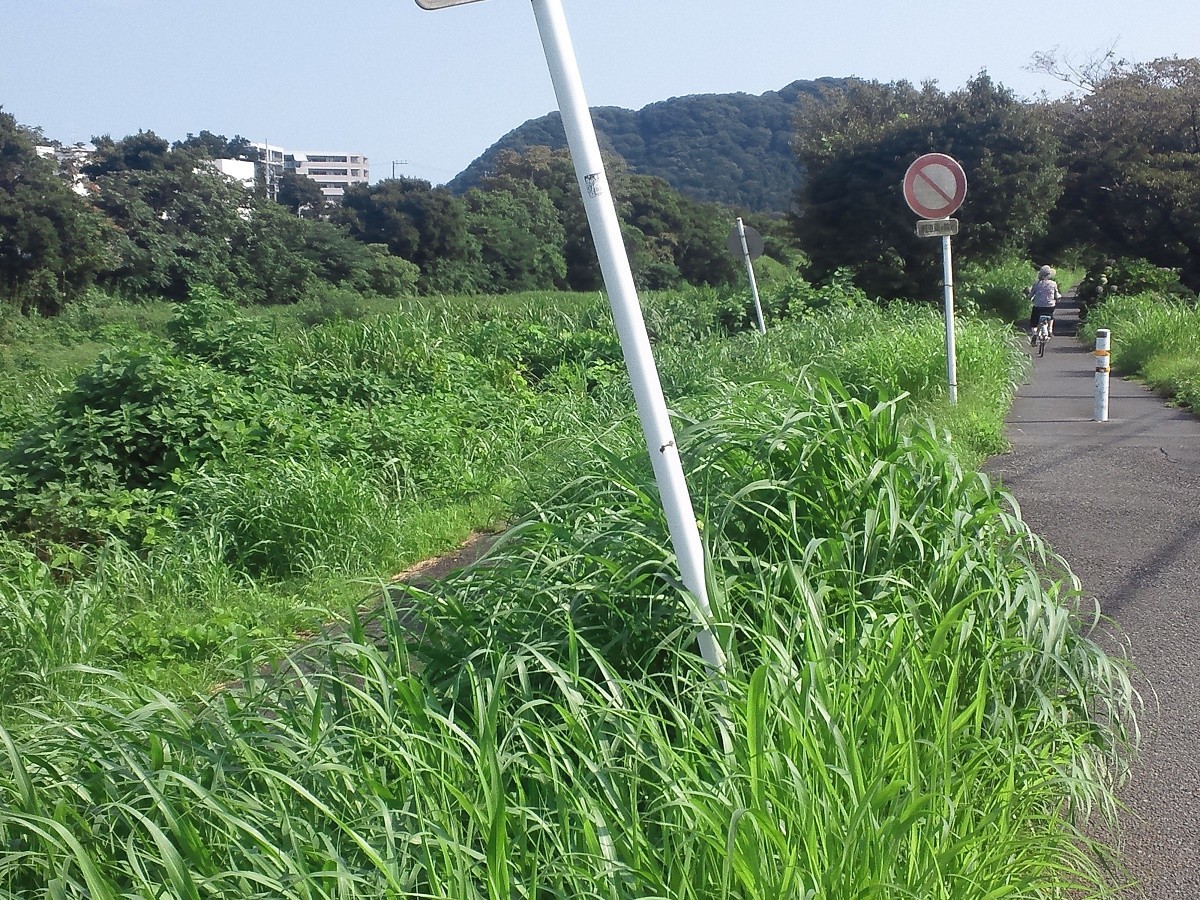 f:id:furuyatoshihiro:20190728183005j:plain