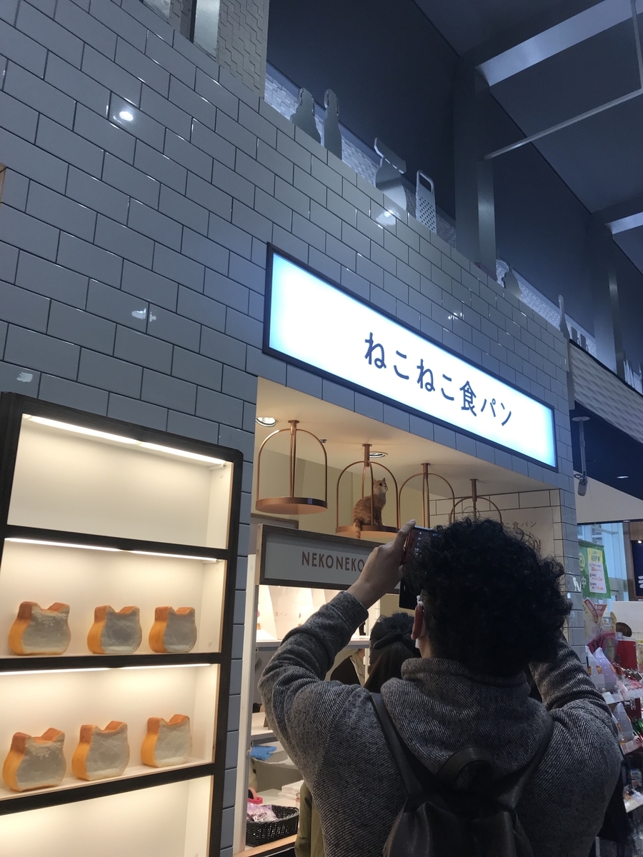 f:id:furuzen:20200210150635j:plain