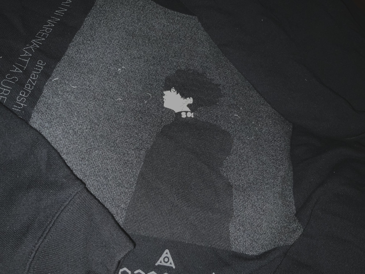 f:id:furyou12:20210814122106j:plain