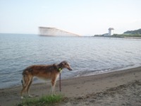 f:id:fusa_fusa:20110710070221j:image f:id:fusa_fusa:20110710070221j:image