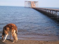f:id:fusa_fusa:20110710070517j:image f:id:fusa_fusa:20110710070517j:image