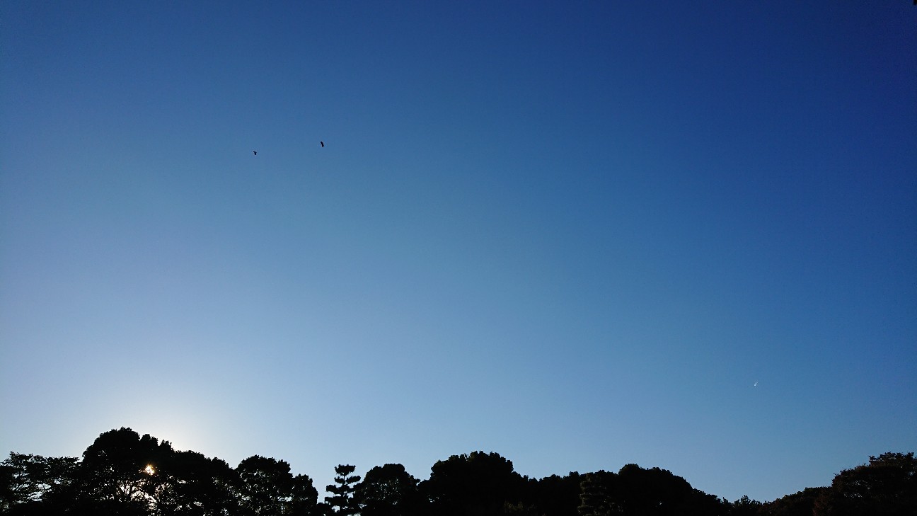 f:id:fusani:20181120183420j:plain