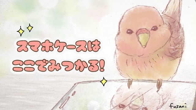アンドロイドのスマホケースはここで買える 古い機種でも種類豊富 ふさにのふさ日記