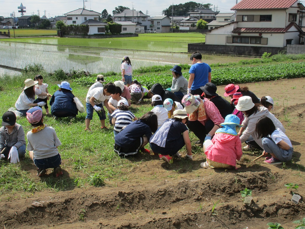 f:id:fusasho-blog:20190524170452j:plain f:id:fusasho-blog:20190524170452j:plain