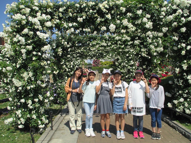 f:id:fusasho-blog:20190524195806j:plain f:id:fusasho-blog:20190524195806j:plain