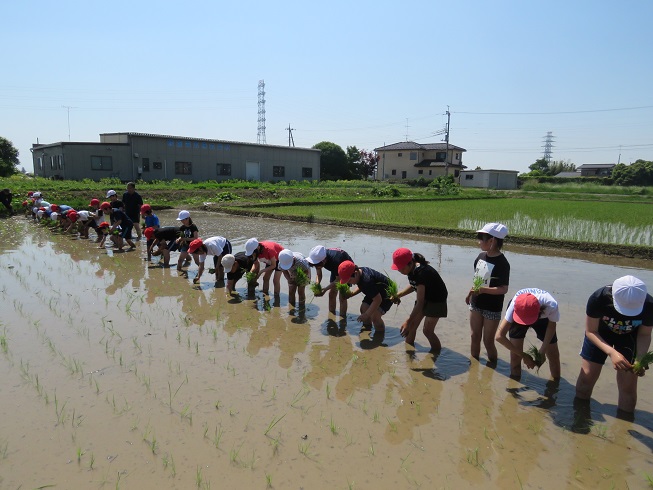 f:id:fusasho-blog:20190527174922j:plain
