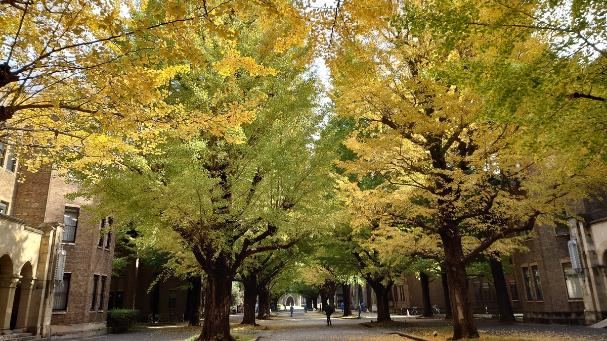 f:id:fushigu:20211124121339j:plain