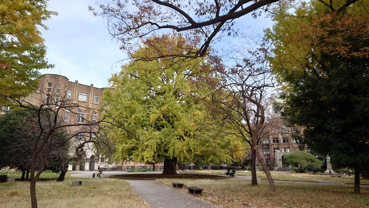 f:id:fushigu:20211124121714j:plain