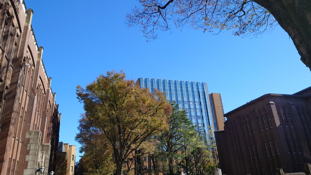 f:id:fushigu:20211124121808j:plain