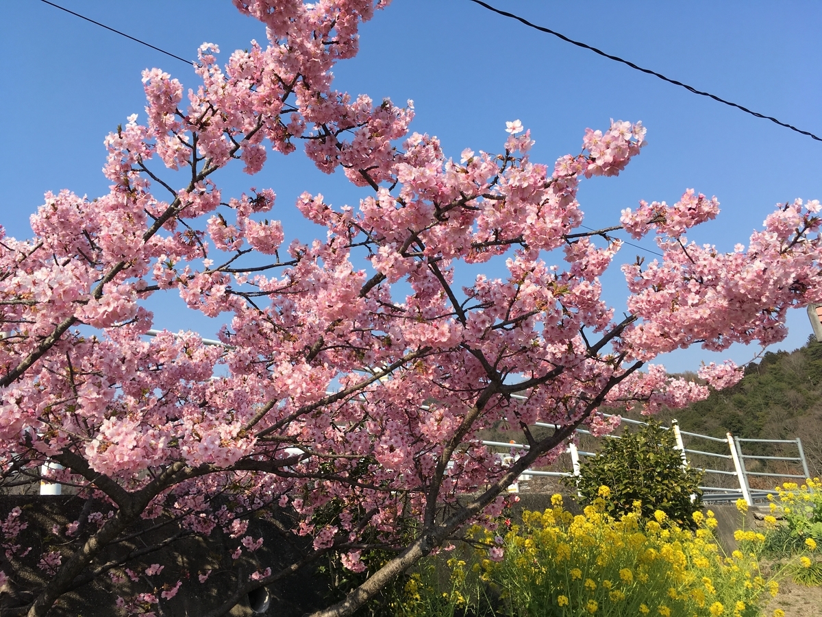 f:id:fusimiyuyuyuyu:20190315151734j:plain f:id:fusimiyuyuyuyu:20190315151734j:plain
