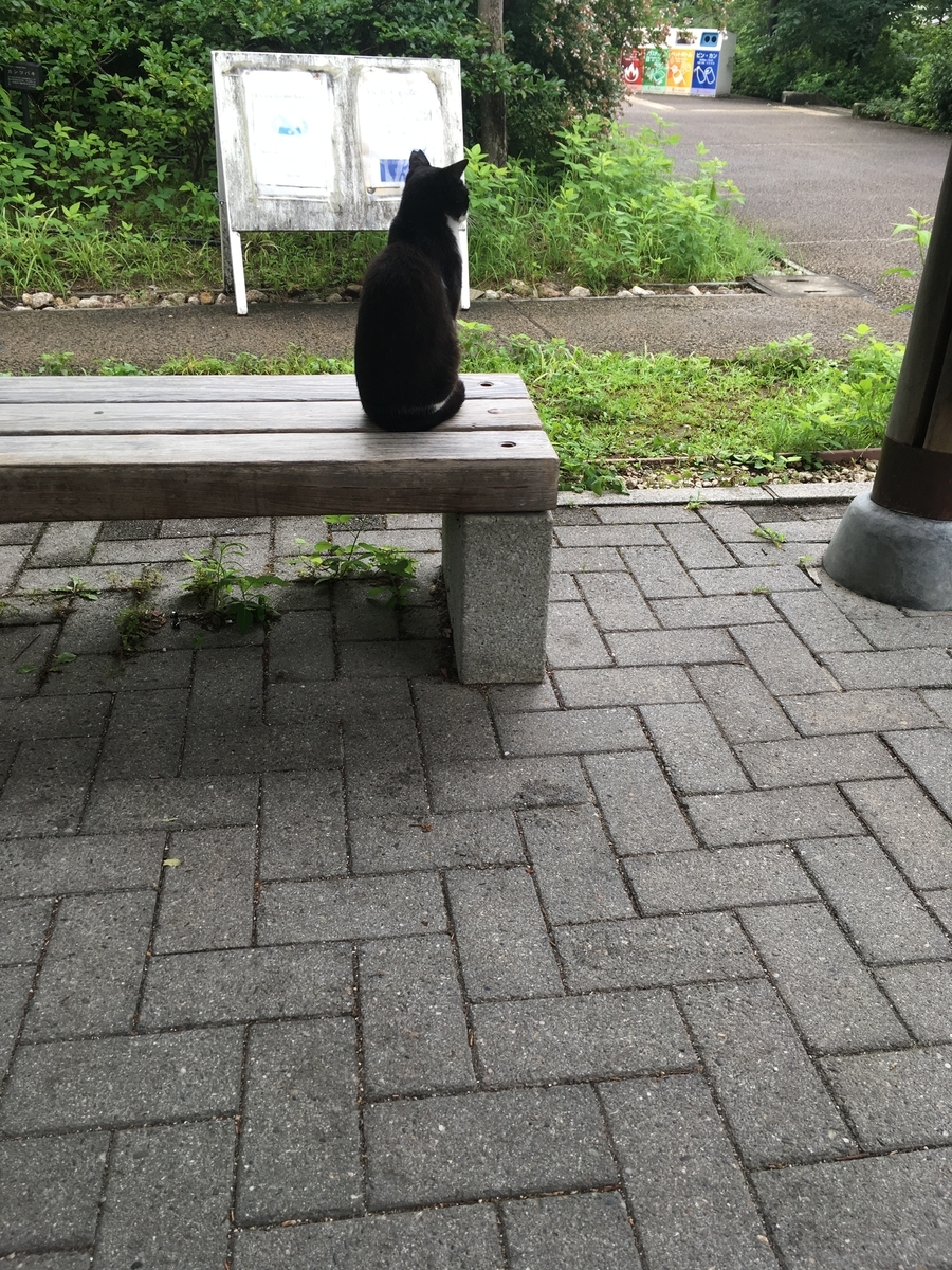 f:id:fusimiyuyuyuyu:20190720190120j:plain f:id:fusimiyuyuyuyu:20190720190120j:plain