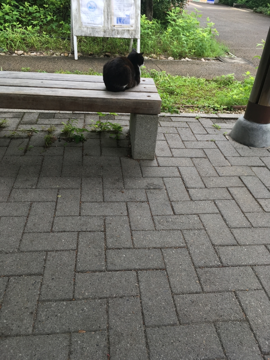 f:id:fusimiyuyuyuyu:20190720190310j:plain f:id:fusimiyuyuyuyu:20190720190310j:plain