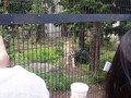 [旭山動物園]