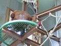 [旭山動物園]下から