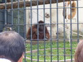 [旭山動物園]