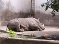 [旭山動物園]おやすみ