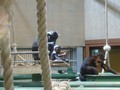 [旭山動物園]親子